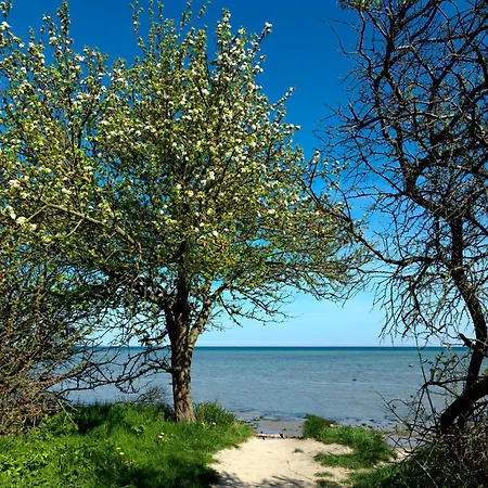 Апартаменты Am Friesenstuebchen *